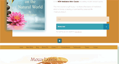 Desktop Screenshot of mollylarkin.com